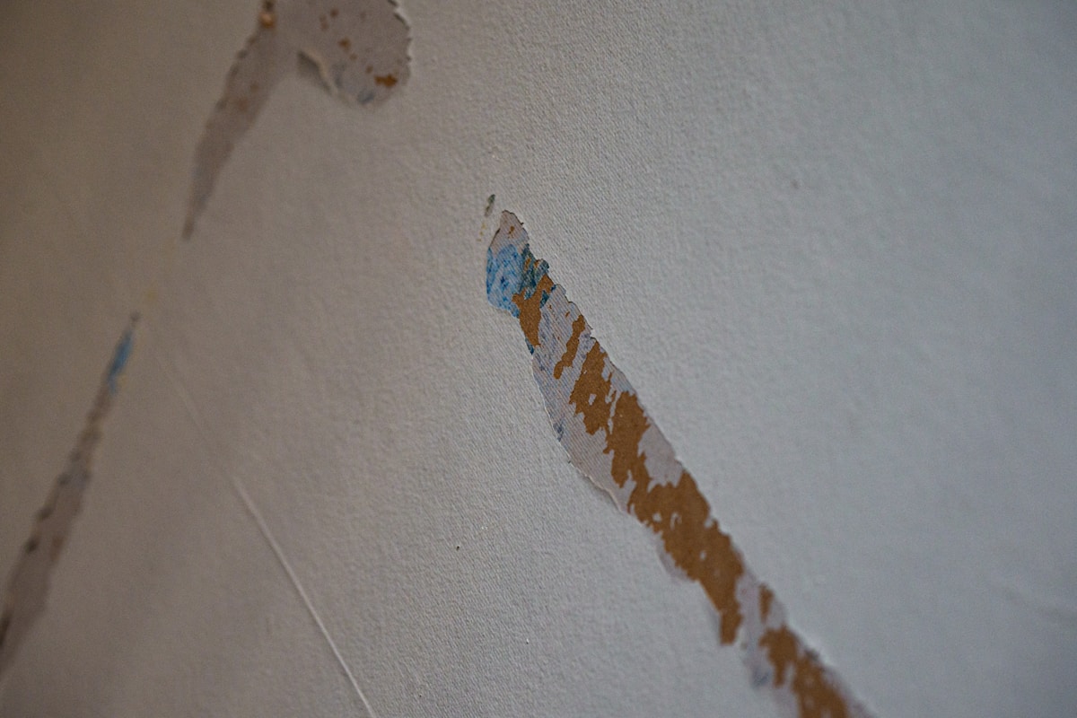 Mold Remediation service in Spring Hill, TN